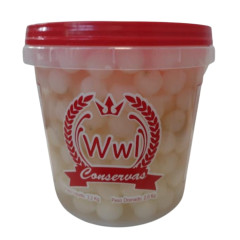 CEBOLINHA EM CONSERVA BD2KG