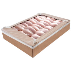 FILE FGO INT S/SASSAMI TEMP. LAR  CX15KG