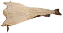 BAC SALG SAITHE 7/9 CODEXPORT CX/25KG