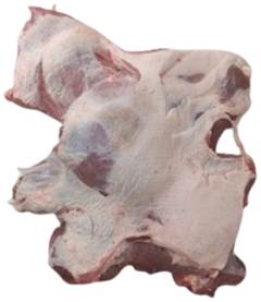 PALETA SUINA CONG  S/OSSO  LAR CX20KG